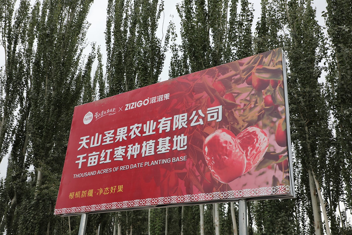 情暖雷鋒日 志愿我先行